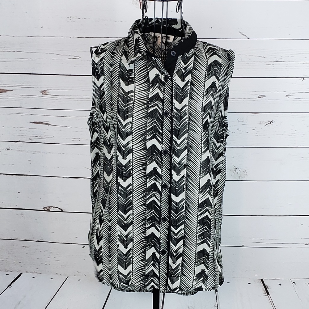 Olive & Oak Sheer Sleeveless Button Down Hi-Low Top